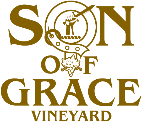 Son of Grace Vineyard